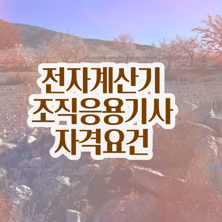  전자계산기조직응용기사 준비물 전자계산기조직응용기사 시험응시자격 독학으로 반 년만에 끝낸 팁