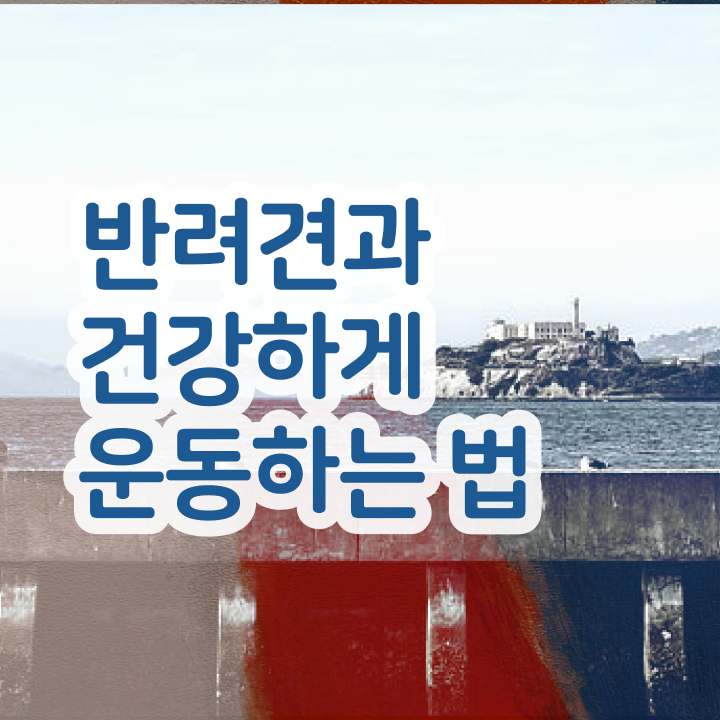  반려견운동지도사 무료 특강 , 반려견운동지도사 온라인 교육으로 합격한 팁