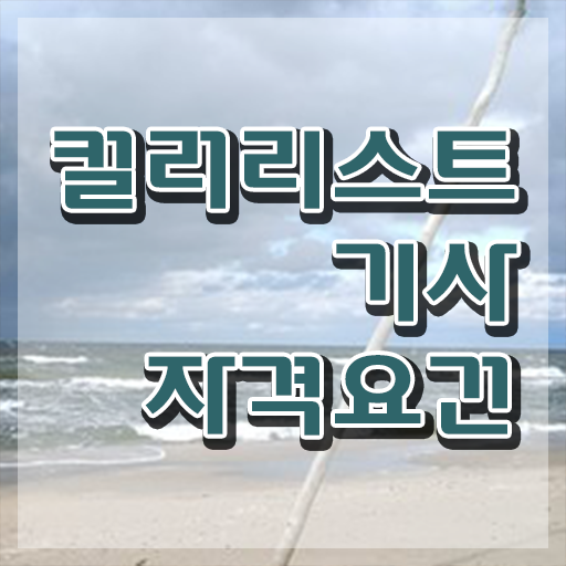  컬러리스트 산업기사 필기 컬러리스트기사 응시조건 온라인 수업으로 5개월 만에 끝낸 팁