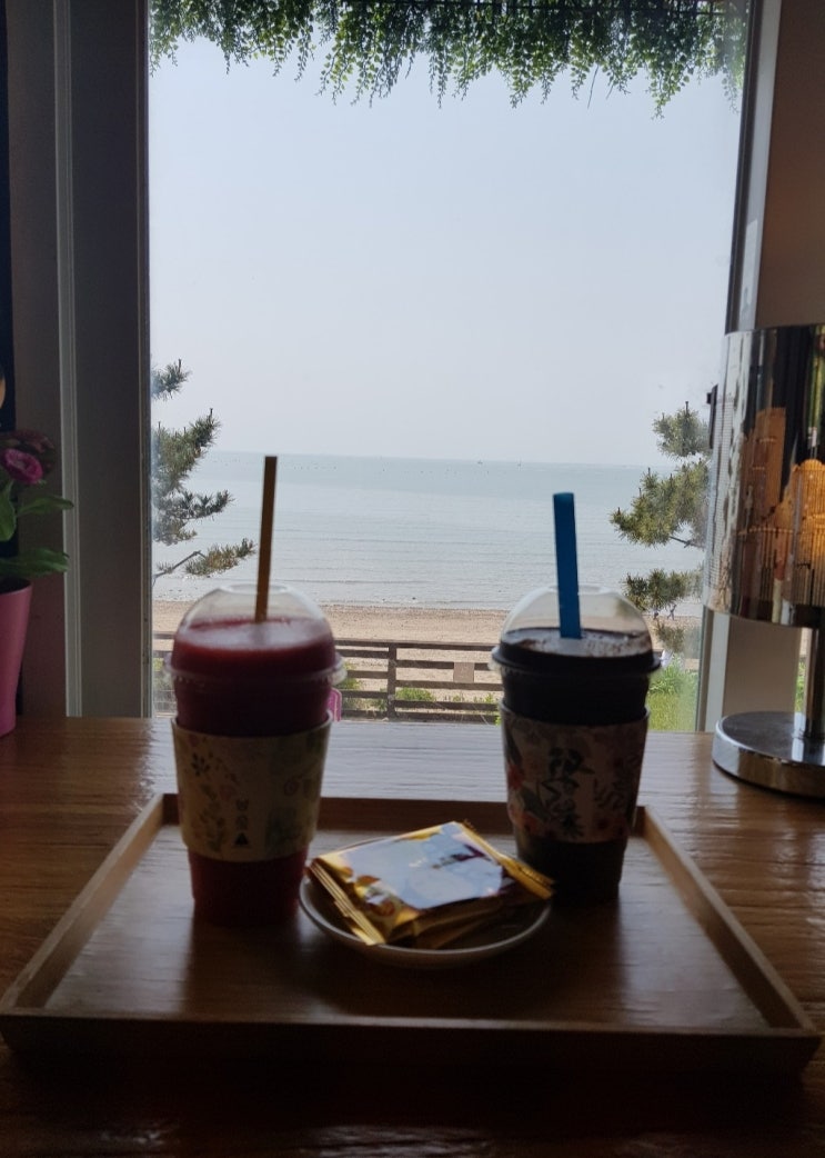 제부도 바다와 풍경 애견동반 오션뷰 카페