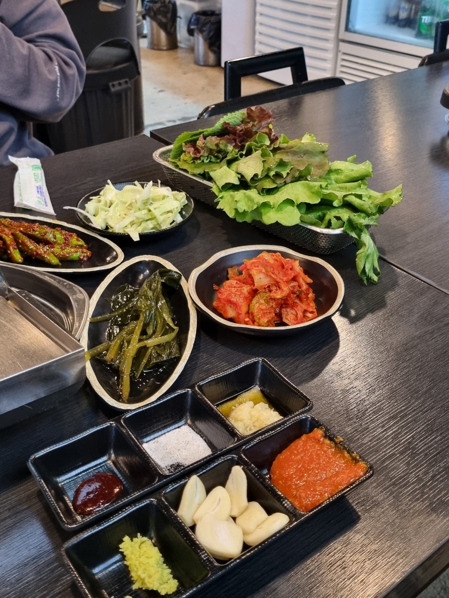 뚱돼지 사진 6