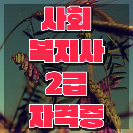  전북 사이버사회복지사추천 , 사회복지사2급 비전공자도 학점은행제 인강으로 손쉽게