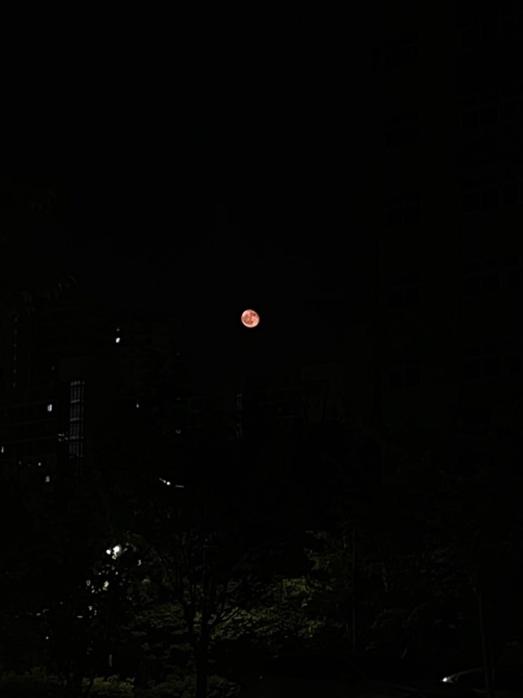  0525 감사일기