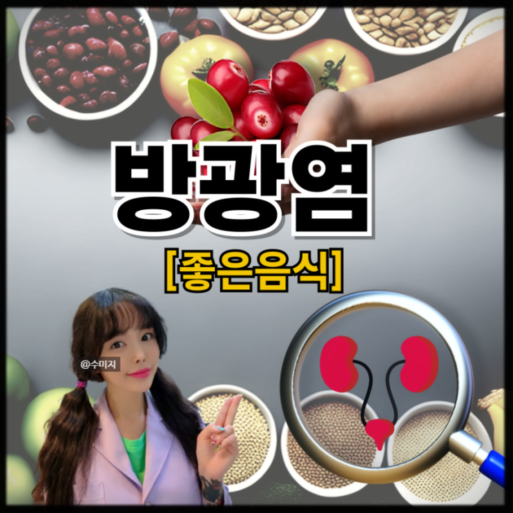 방광염에 좋은 음식 크랜베리 효능 크랜베리 영양제
