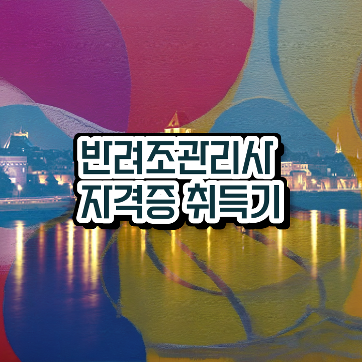  말하는 앵무새 분양 , 반려조관리사 자격증 응시자격 없이 취득했던 후기 및 취업정보