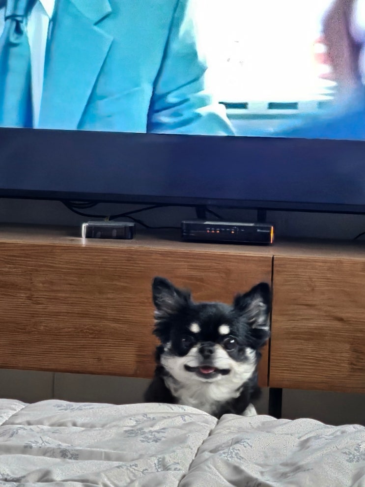  너무귀엽다... 지구뿌셔