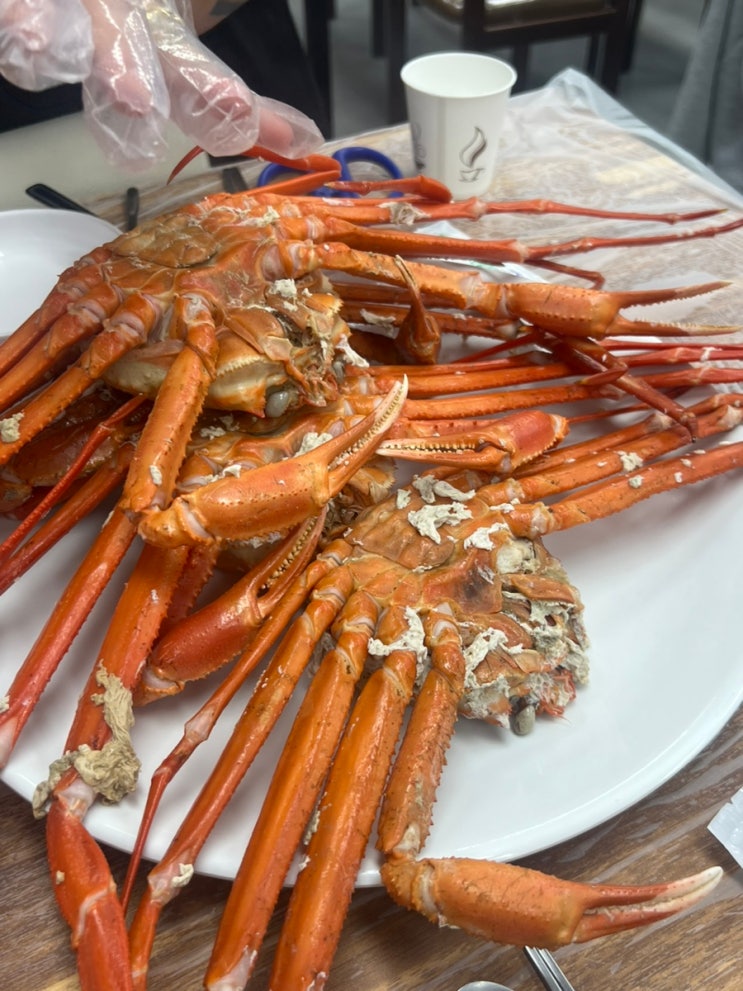 강원도 속초여행 대게 같은홍게집 창백호선장네 홍게 무한리필 강원도 속초여행 대게 같은홍게집 창백호선장네 홍게 무한리필