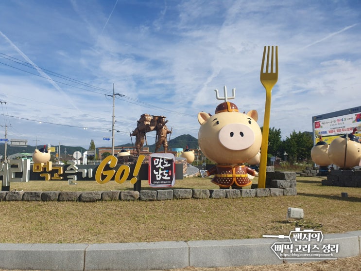  강진 병영에서 본 돼지
