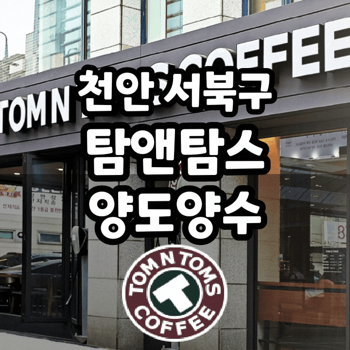  천안 자리 좋은 카페 창업 탐앤탐스 정보 양도양수