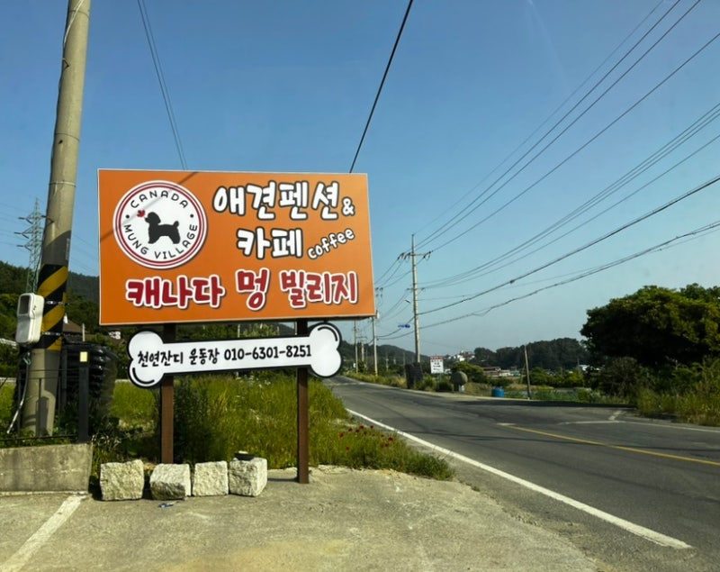 사진 5