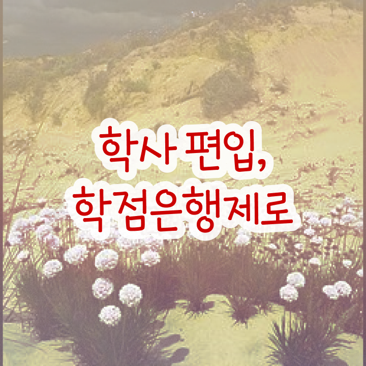  학점은행 편입 , 학점은행제 추천합니다 기간 단축 비용부담 절감 전략 보고싶다면