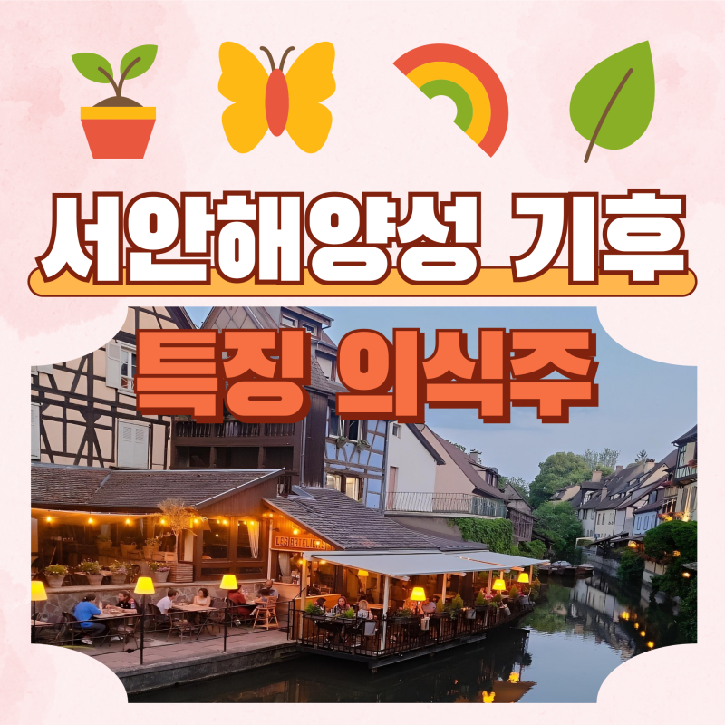 서안해양성 기후 특징 의식주 음식 가옥 의복 : 네이버 블로그
