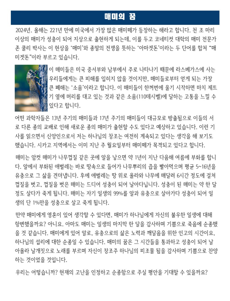  매미의 꿈