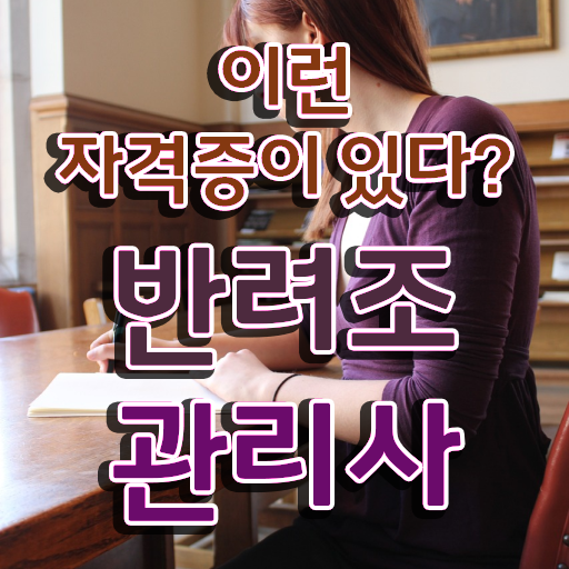  퀘이커 앵무새 종류 , 반려조관리사 자격증 온라인으로 취득한 노하우 제가 알려드릴게요
