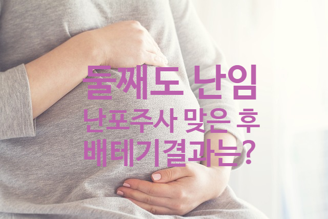  [둘째 임신 난임]난포 터트리는 주사를 맞았을 때  배테기, 임테기 언제까지 두줄?