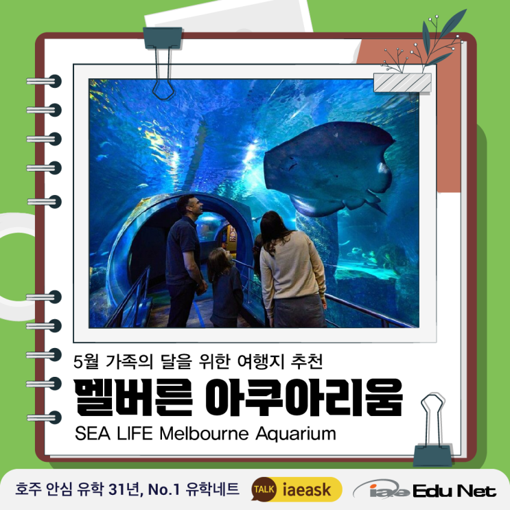  [호주 여행] 호주 멜버른 여행지 추천 | 멜버른 아쿠아리움 Sea Life Melbourne Aquarium | 5월 가족의 달