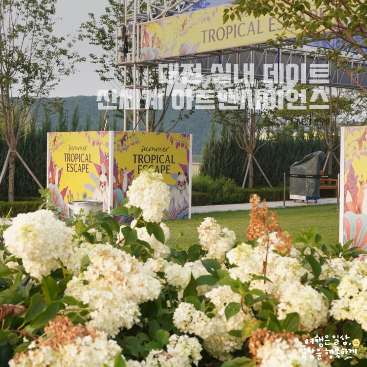  대전 유성 실내 데이트 코스, 신세계백화점 맛집, 꿈돌이 홍보관, 방 탈출, 아쿠아리움