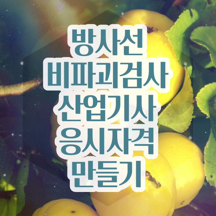  방사선비파괴검사산업기사 신청 방사선비파괴검사산업기사 시험응시자격 온라인 수업으로 1학기 만에 끝낸 노하우