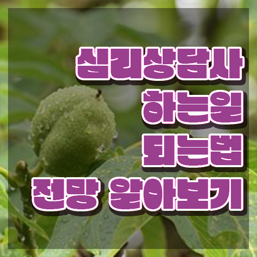  심리상담사2급아카데미 , 심리상담사 자격증 준비한 과정 요약해봤어요