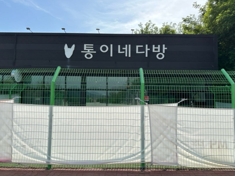 사진 4