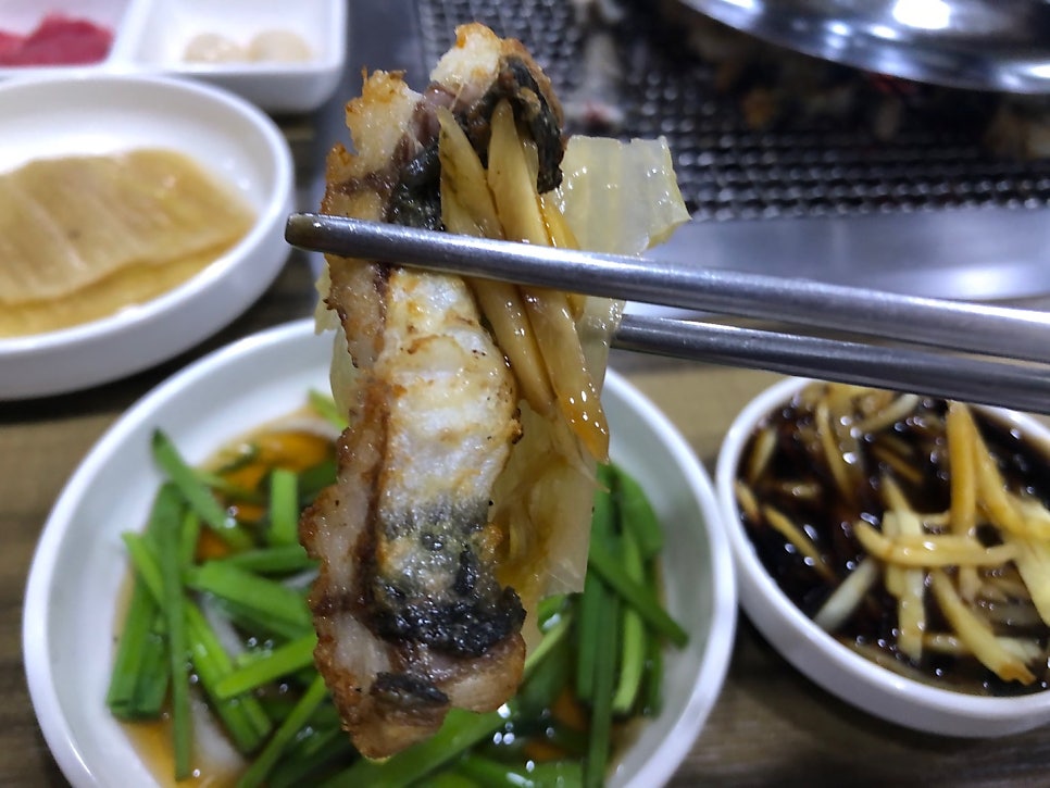 미락장어 사진 2