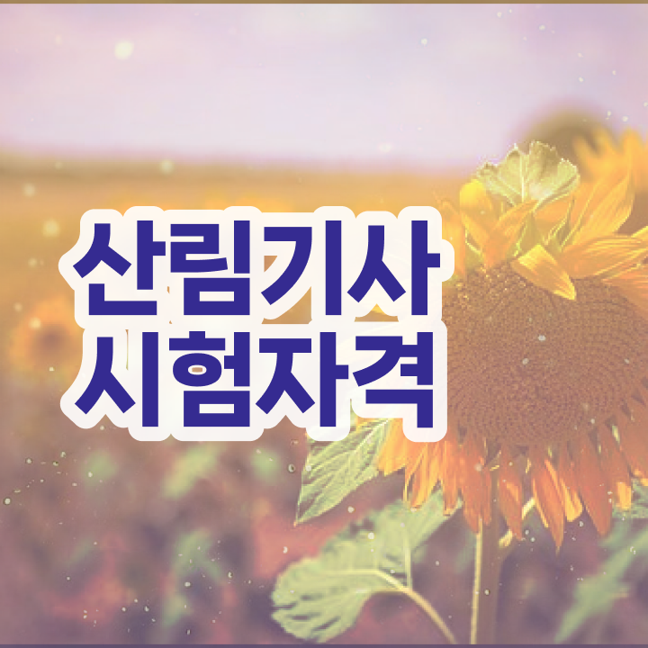  산림 기사인강 산림기사 취득자격 집에서 온라인으로 15주만에 성공한 후기