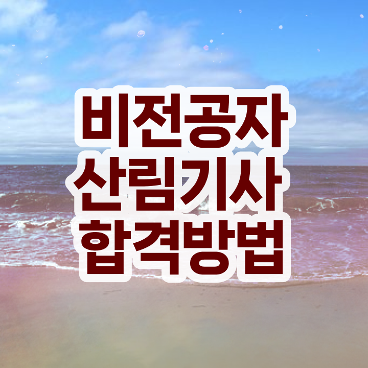  산림기사 필답 산림기사 자격요건 학점은행제로 쉽고 빠르게 준비한 팁