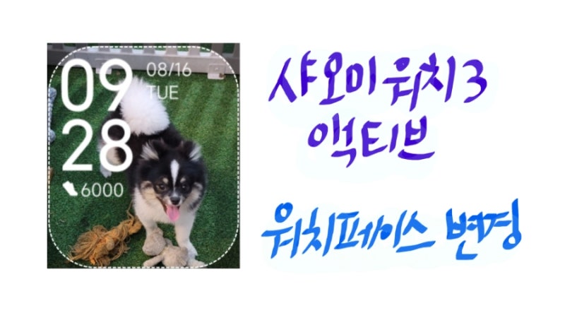 샤오미(레드미)워치3 액티브 사용후기 + 워치페이스(화면) 변경방법