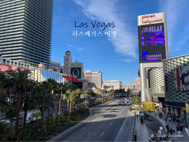  미국여행 라스베가스 (Las Vegas) 여행 필수 코스: 라스베가스 스트립 & 라스베가스 호텔 구경