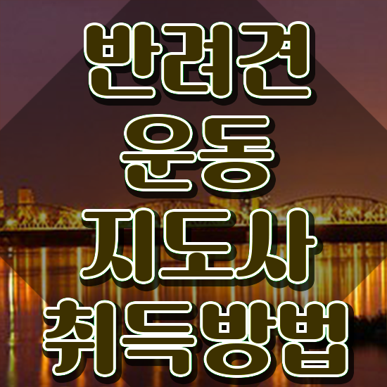  50대 자격증 추천 , 반려견운동지도사 인강만으로 준비한 전략