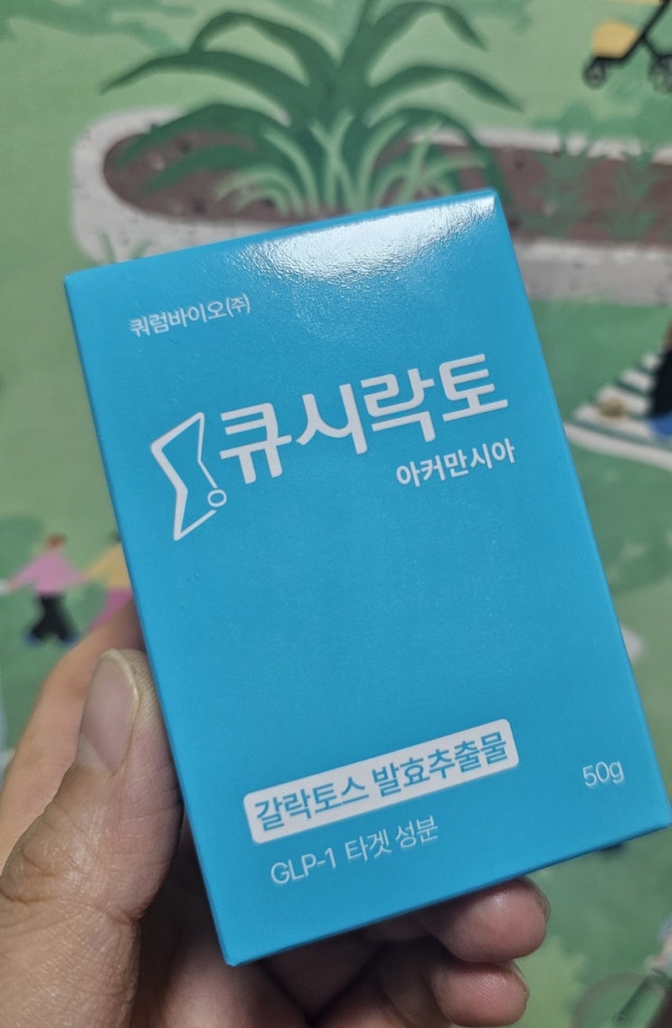  GLP-1유산균 큐시락토