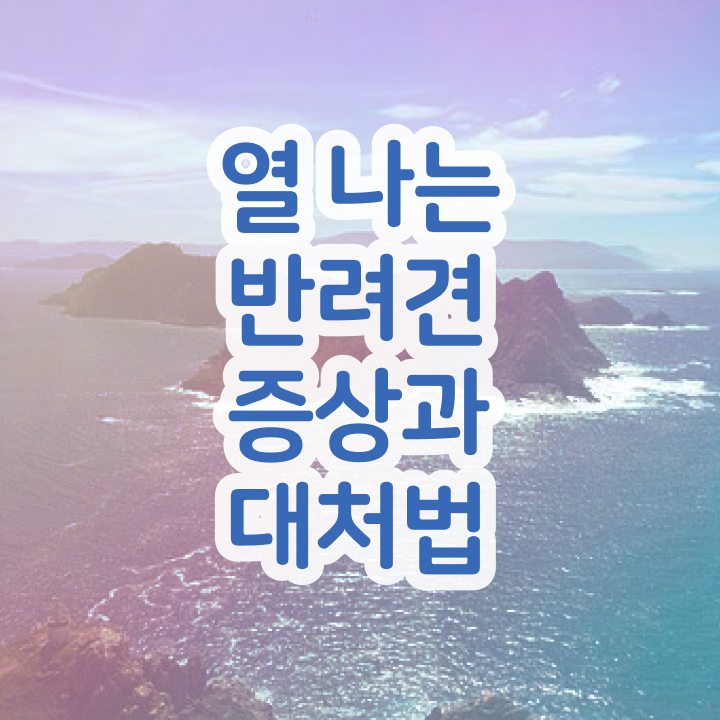  반려동물관리사연봉 , 반려동물관리사 자격증 비용없이 온라인으로 합격한 비법 완벽 정리