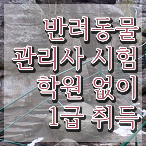  반려동물관리사 , 반려동물관리사 자격증 20일 만에 취득한 노하우 및 이후 전망