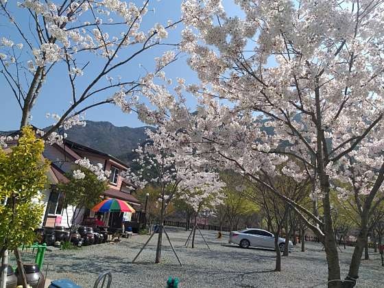 솔바람캠핑장 사진 2