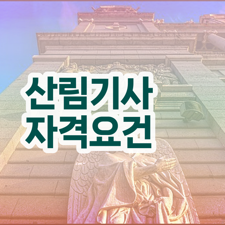  산림 기사학원 산림기사 취득자격 학점은행제로 4개월 만에 성공한 노하우