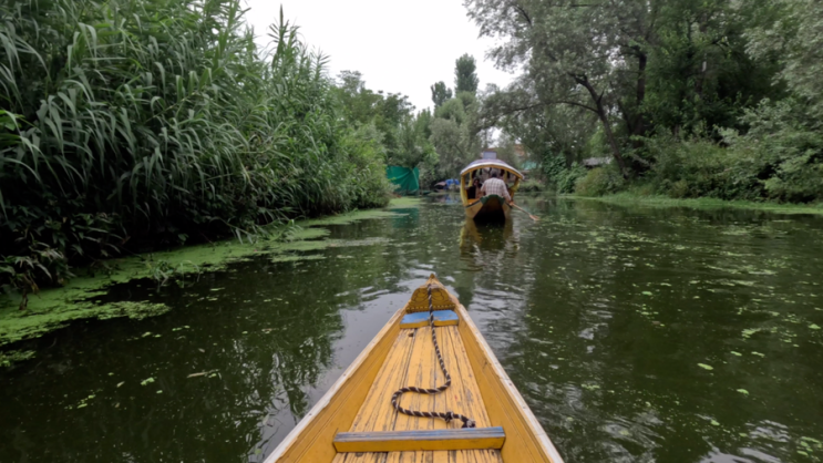  스리나가르 달호수 시카라(srinagar Dal Lake riding Shikara)