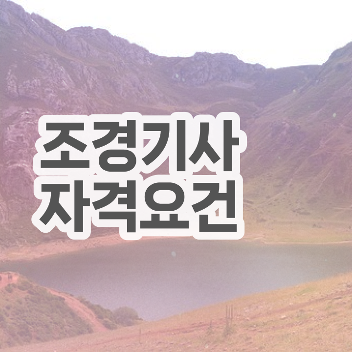 조경산업기사 조경기사 시험자격 독학으로 5개월 만에 성공한 후기