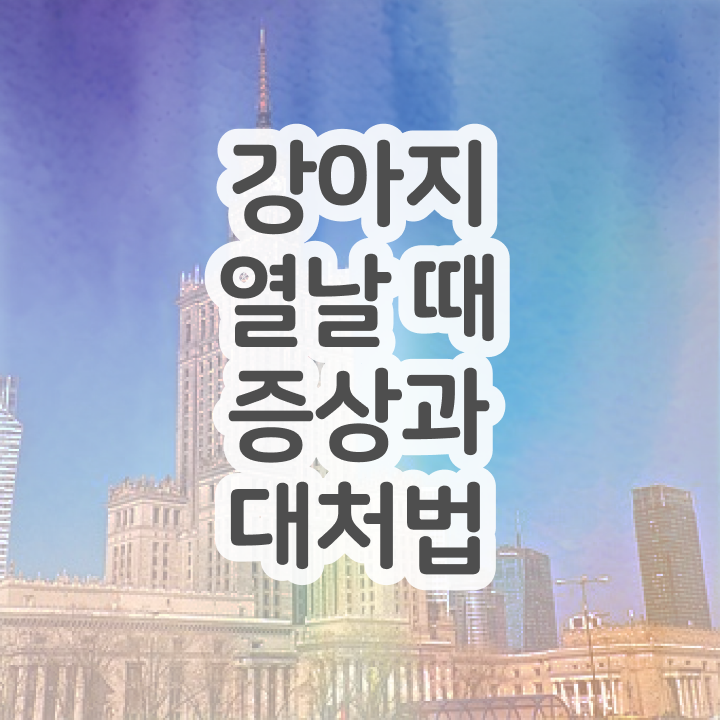  반려동물종합관리사 , 반려동물관리사 자격증 합격한 팁 정리해드립니다