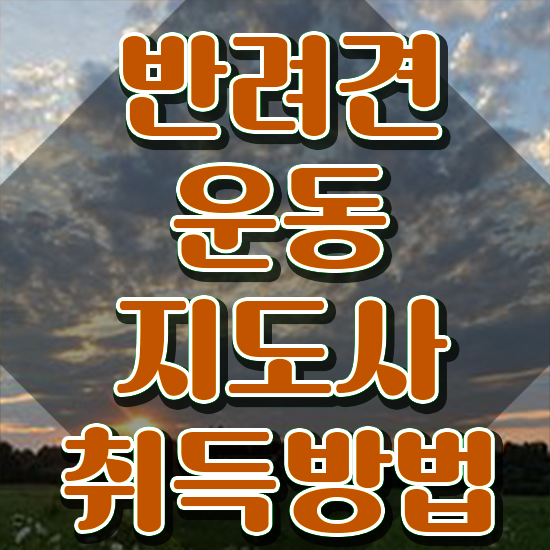 단기 자격증 추천 , 반려견운동지도사 동영상 과정으로 관련학위 없어도 초단기 끝내는 과정