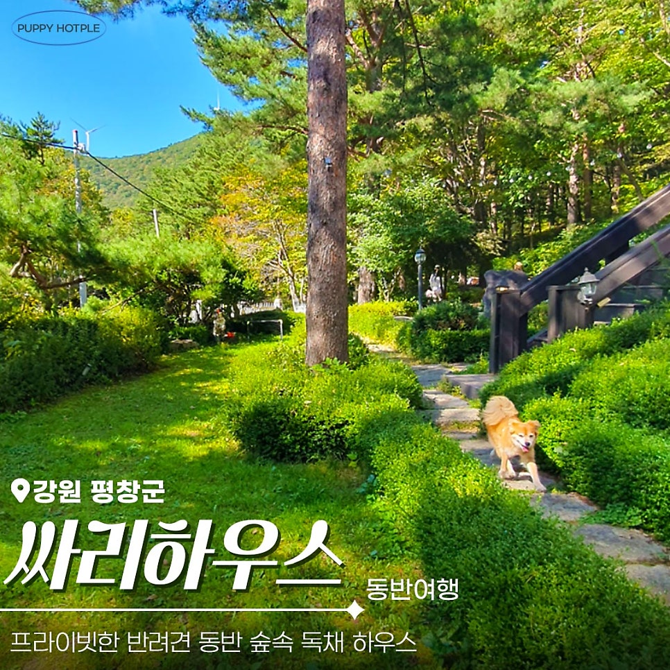 싸리하우스 사진 1