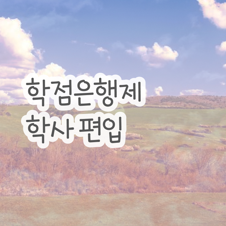  학점은행제 자격증 , 학점은행제 플래너 이 부분은 확인해보세요