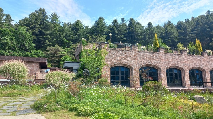  둔내 웰리힐리 평창 휘닉스 맛집- 보타닉그릴(부모님식사,단체모임,가족행사,워크샵 가능, 장소대관)