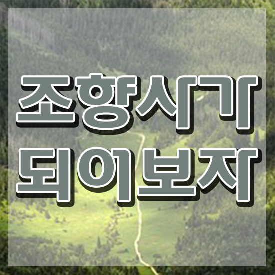  조향사 되는법 , 조향사 조건없이 간단하게 끝냈던 전략