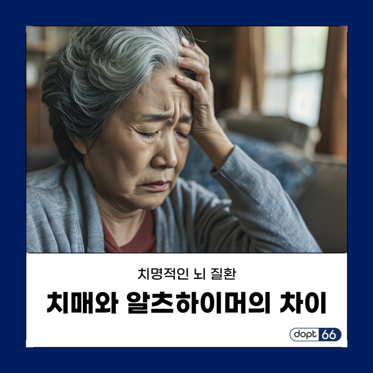  치매와 알츠하이머의 차이와 원인, 예방법