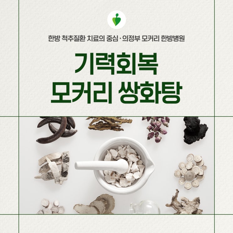  기력 회복 한약, 모커리 쌍화탕