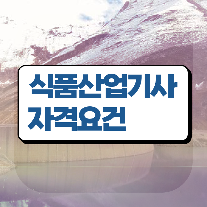  식품산업기사 필기 시험 식품산업기사 응시자격 학점은행제로 간편하게 완료한 과정