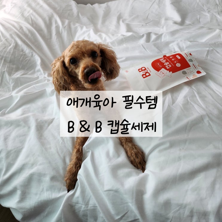  애개육아 자극 없는 7가지 자연유래 특허 성분 / 순한 B&B 캡슐세제