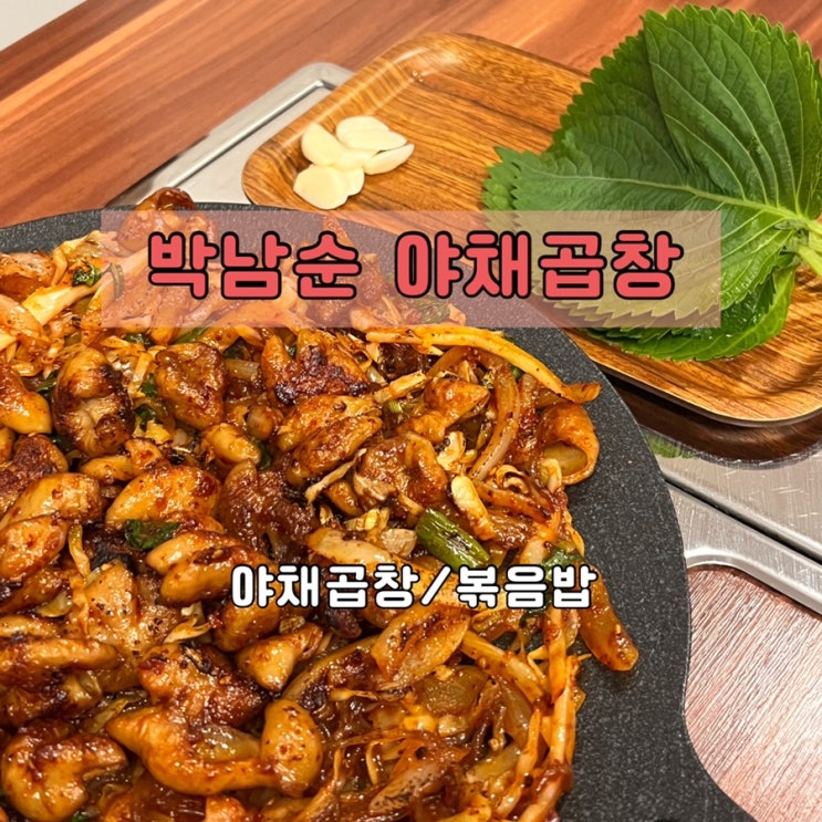  울산 신정동 맛집 야채곱창 볶음밥 맛집 박남순야채곱창