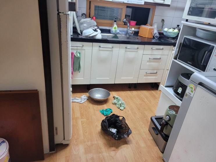  빌라싱크대화장실역류 물안써도 갑자기 하수도 물 차오르고 역류 뚫는법