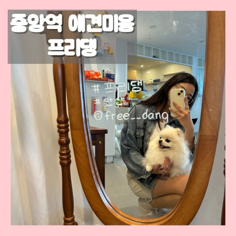 프리댕 애견유치원 / 호텔 / 미용